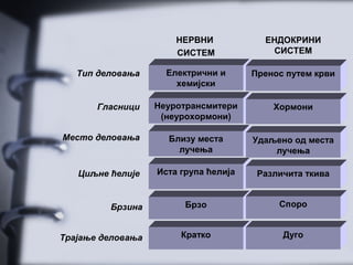 НЕРВНИ            ЕНДОКРИНИ
                       СИСТЕМ             СИСТЕМ

   Тип деловања      Електрични и      Пренос путем крви
                       хемијски

       Гласници    Неуротрансмитери        Хормони
                    (неурохормони)

Место деловања       Близу места       Удаљено од места
                       лучења              лучења

   Циљне ћелије    Иста група ћелија    Различита ткива


         Брзина          Брзо               Споро


Трајање деловања        Кратко               Дуго
 