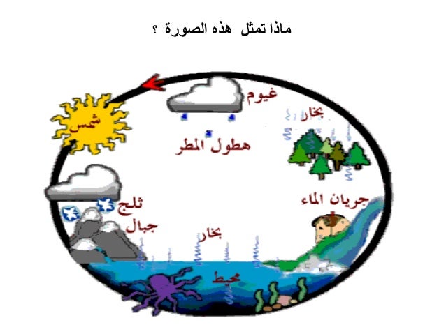 الماء سر الحياة