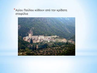 * Αγίξσ Παύλξσ κόβξσμ από ςημ κοίβαςη
 ρςατύλια
 