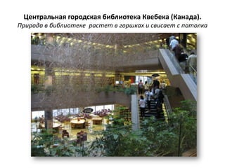 Центральная городская библиотека Квебека (Канада).
Природа в библиотеке растет в горшках и свисает с потолка
 