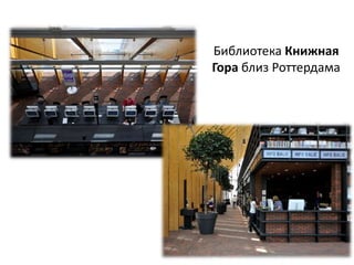 Библиотека Книжная
Гора близ Роттердама
 