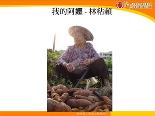 我的阿嬤 - 林粘賴
 