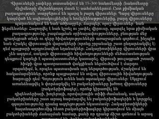 Վիրուսների չափերը տատանվում են 15–300 նանոմետրի (նանոմետրը
       միլիմետրի միլիոներորդ մասն է) սահմաններում: Ըստ քիմիական
  բաղադրության՝ տարբերում են պարզ և բարդ վիրուսներ: Պարզ վիրուսները
   կազմված են սպիտակուցներից և նուկլեինաթթուներից, բարդ վիրուսները
       պարունակում են նաև ածխաջրեր, ճարպեր, որոշ վիրուսներ՝ նաև
ֆերմենտներ: Հաջողվել է նաև կշռել ու չափել վիրուսը, պարզել նրա քիմիական
      բաղադրությունը, բազմացման օրինաչափությունները, բնության մեջ
 զբաղեցրած տեղն ու դերը հիվանդությունների առաջացման գործում, ինչպես
 նաև մշակել վիրուսային վարակների (որոնց շրջանակը շատ ընդարձակվել է)
դեմ պայքարի արդյունավետ եղանակներ: Հակաբիոտիկները վիրուսների վրա
    չեն ազդում, սակայն վիրուսային հիվանդությունների մեծամասնության
  դեպքում կարելի է պատվաստումներ կատարել. վիրուսի թուլացրած շտամի
          հիմքի վրա պատրաստած վակցինան ներմուծվում է մարդու
      օրգանիզմ, և, որպես պատասխան այդ ներգործության, մշակվում են
   հակամարմիններ, որոնք պայքարում են տվյալ վիրուսային հիվանդության
      հարուցչի դեմ: Գոյություն ունեն նաև օգտակար վիրուսներ: Սկզբում
      առանձնացվել և փորձարկվել են բակտերիաները խժռող վիրուսները
                    (բակտերիոֆագեր), որոնք կիրառվել են
       դիզենտերիայի, խոլերայի, որովայնային տիֆի ժամանակ, սակայն
   բակտերիաները շատ արագ հարմարվել են բակտերիոֆագերին և կորցրել
     զգայունությունը դրանց ազդեցության նկատմամբ: Հակաբիոտիկների
       հայտնագործումից հետո բակտերիոֆագերը կիրառվում են միայն
   բակտերիաների ճանաչման համար, քանի որ դրանք ճիշտ գտնում և արագ
 