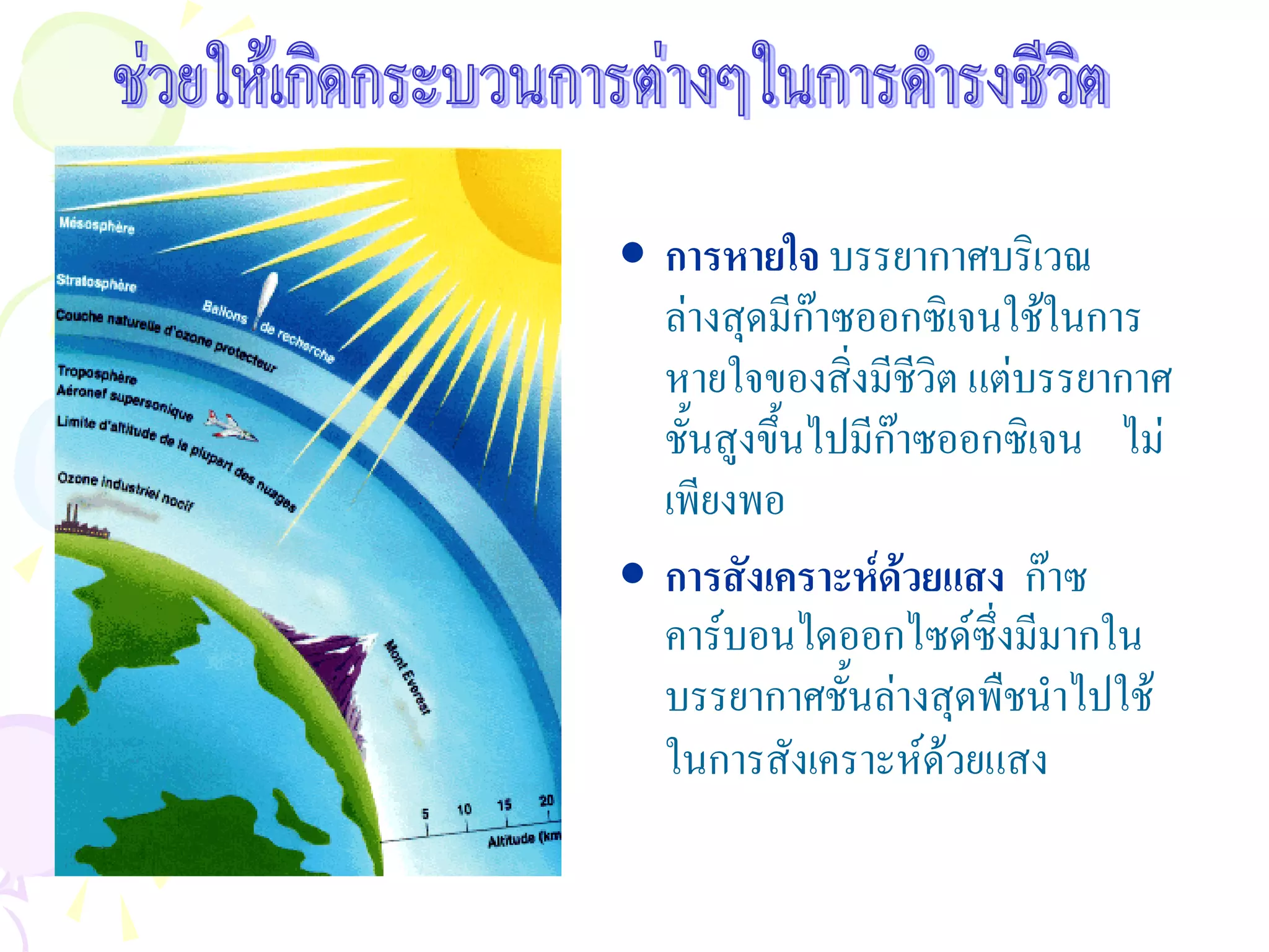 • การหายใจ บรรยากาศบริเวณ
  ลางสุดมีกาซออกซิเจนใชในการ
  หายใจของสิ่งมีชีวิต แตบรรยากาศ
  ชั้นสูงขึ้นไปมีกาซออกซิเจน ไม
  เพียงพอ
• การสังเคราะหดวยแสง กาซ
  คารบอนไดออกไซดซึ่งมีมากใน
  บรรยากาศชั้นลางสุดพืชนําไปใช
  ในการสังเคราะหดวยแสง
 