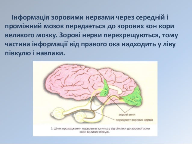 генератор на дизельном топливе