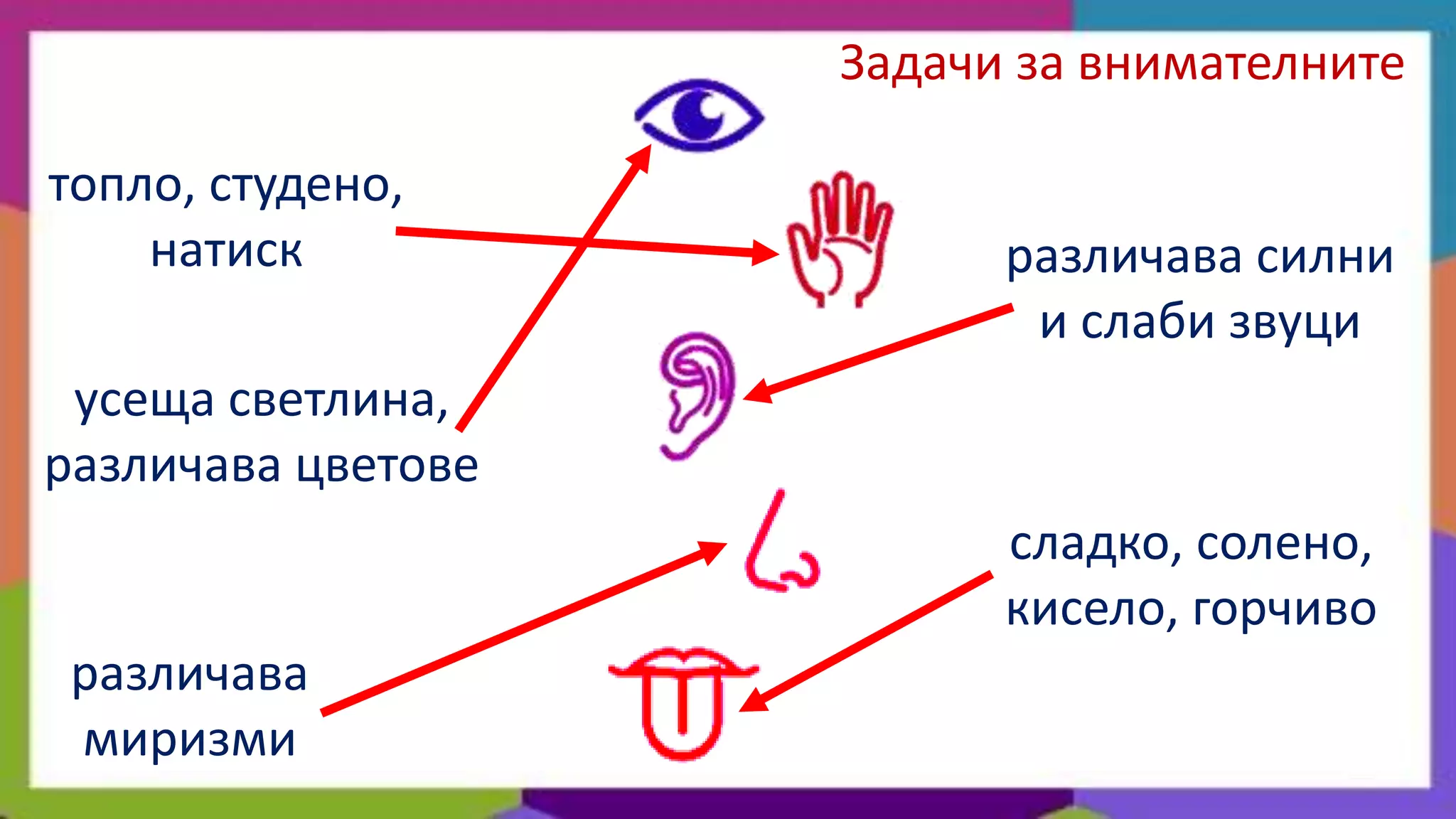 Задачи за внимателните

топло, студено,
    натиск                различава силни
                           и слаби звуци
 усеща светлина,
различава цветове
                          сладко, солено,
                          кисело, горчиво
 различава
 миризми
 