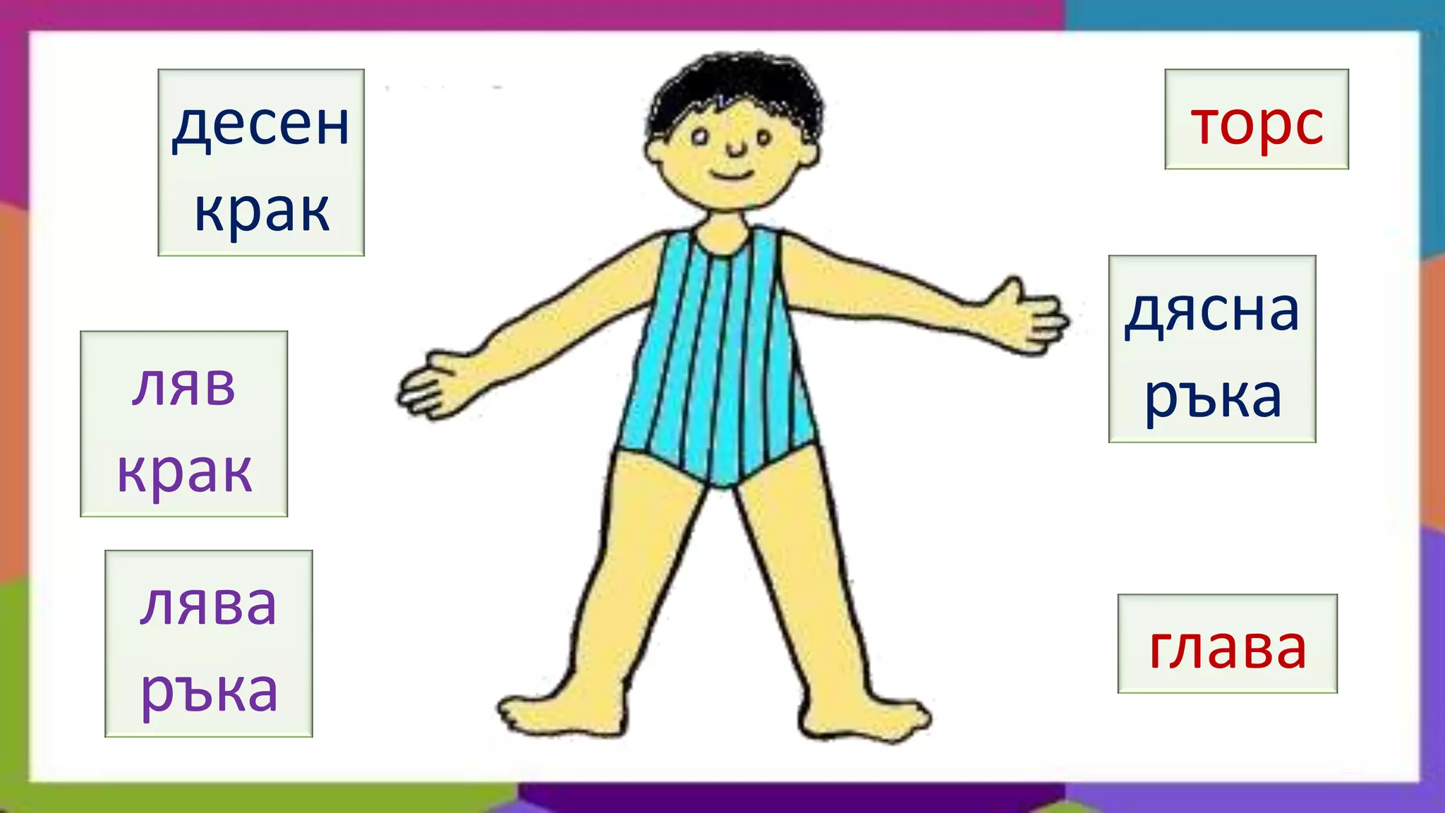десен    торс
  крак
         дясна
 ляв     ръка
крак
лява
         глава
ръка
 