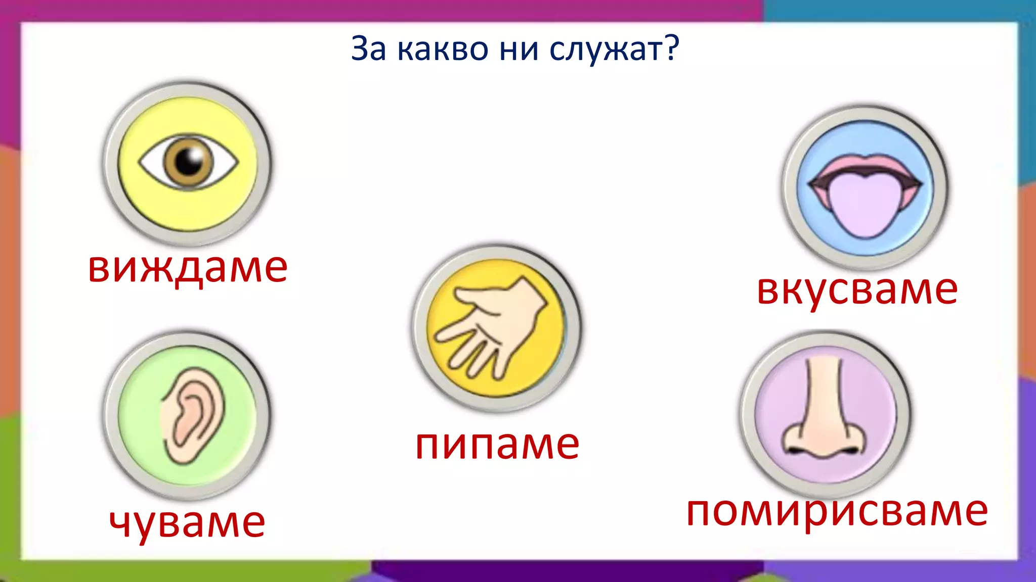 За какво ни служат?




виждаме                           вкусваме

             пипаме
чуваме                          помирисваме
 