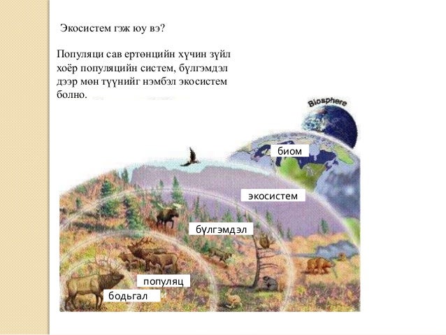 экосистемийн үндсэн ойлголт