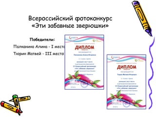 Всероссийский фотоконкурс
        «Эти забавные зверюшки»

       Победители:
Палканина Алина - I место
Тюрин Матвей - III место
 