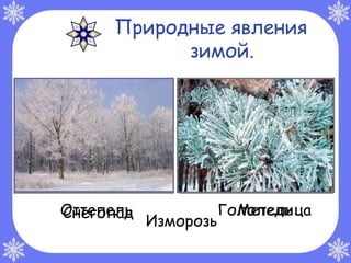 Природные явления
           зимой.




Оттепель
Снегопад              Гололедица
                        Метель
           Изморозь
 