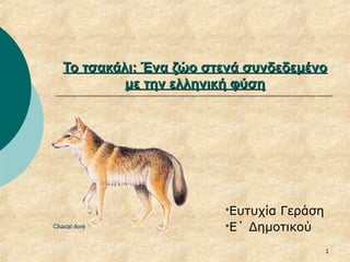 Το τσακάλι: Ένα ζώο στενά συνδεδεμένο
         με την ελληνική φύση




                      ΕυτυχίαΓεράση
                      Ε΄ Δημοτικού

                                       1
 