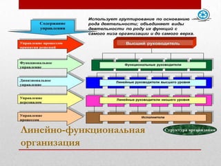 Линейно-функциональная
организация
 
