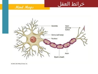 ‫ ‪Mind Maps‬‬
             ‫خرائط العقل‬
 