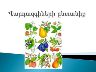ընտանիք