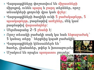    Վարդազգիները փոշոտվում են միջատների
    միջոցով, ունեն պարզ և բարդ տերևներ, որոշ
    տեսակների ցողունի վրա կան փշեր:
   Վարդազգիների ծաղիկն ունի 5 բաժակաթերթ, 5
    պսակաթերթ, բազմաթիվ առէջներ, մեկ կամ
    բազմաթիվ վարսանդներ:
   Սերմնարանը 2-5 բնանի է:
   Որոշ տեսակի բաժակի տակ կա նաև ենթաբաժակ`
    5 կանաչ տերը` ներքևից կպած բաժակին:
   Վարդազգիների կենսաձևերն են`
    ծառեր, լիանաներ, թփեր և խոտաբույսեր:
   Մշակում են որպես պտղատու բույսեր:
 
