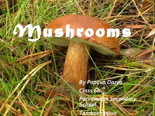Mushrooms

     By Popova Darya
     Class 6a
     Pervomaisk Secondary
     School
     Tambov region
 