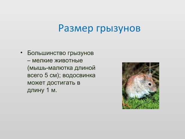 Random 130322234544-phpapp02 | PPT