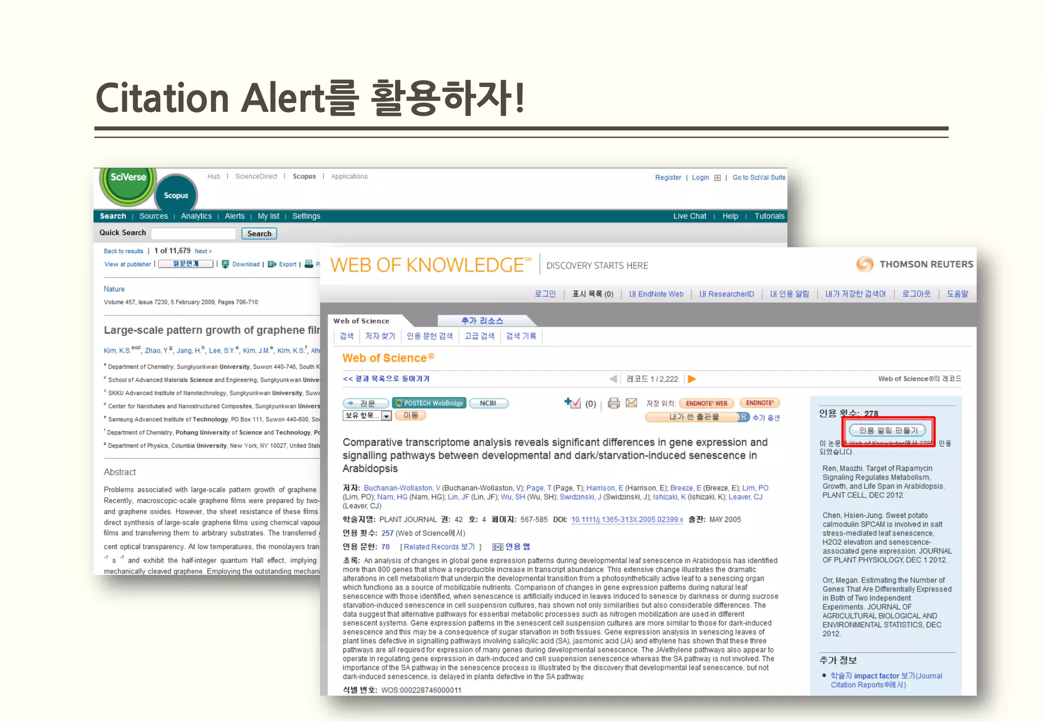 Citation Alert를 활용하자!
 