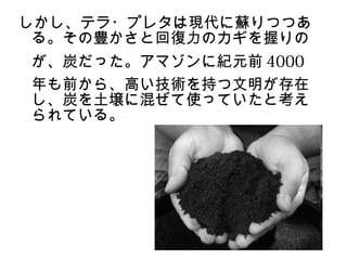 しかし、テラ・プレタは現代に蘇りつつあ
 る。その豊かさと回復力のカギを握りの
が、炭だった。アマゾンに紀元前 4000
年も前から、高い技術を持つ文明が存在
し、炭を土壌に混ぜて使っていたと考え
られている。
 