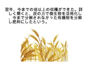 翌年、今までの倍以上の収穫ができた。詳
 しく聞くと、炭の力で微生物を活発化し
 、今まで分解されなかった有機物を分解
 し肥料にしたという。
 