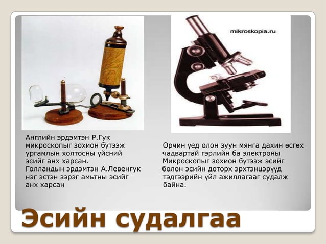 эсийн онол,эсийн ангилал
