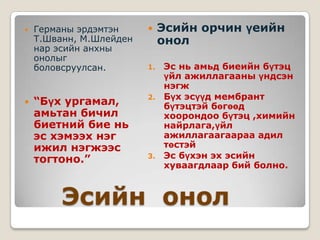 эсийн онол,эсийн ангилал | PPT