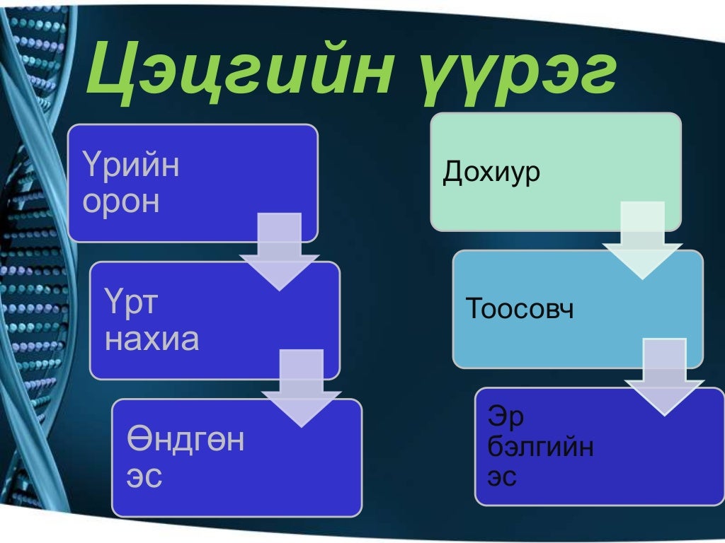 ургамлын үржлийн эрхтэн