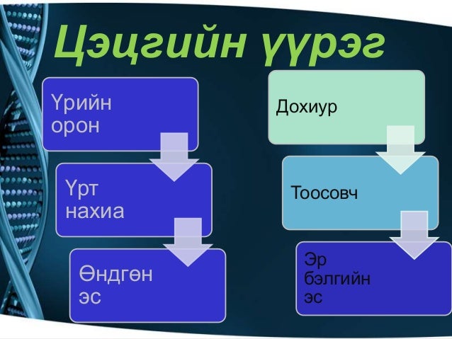 ургамлын үржлийн эрхтэн