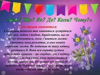 Сон-трава квапиться
Сон-трава щовесни так квапиться зустрітися
  з сонцем, небом і тобою, барвінчатко, що не
    може дочекатися, поки з’явиться листя:
      спочатку вона розквітає, а вже потім
 виростає листя. Як побачиш де таку квітку,
       роздивись її. Вона вся вкрита густим
сріблястим пушком – ця «шубка» гріє і квітку, і
    стебло, і листя вночі, коли трапляються
    весняні заморозки. Не зривай сон-траву (її
 занесено до Червоної книги) – хай і наступної
          весни вона квапиться до тебе.
 