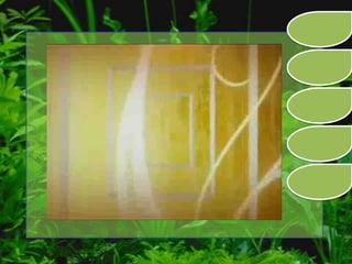 الدرس التفاعلى نباتات الزينة