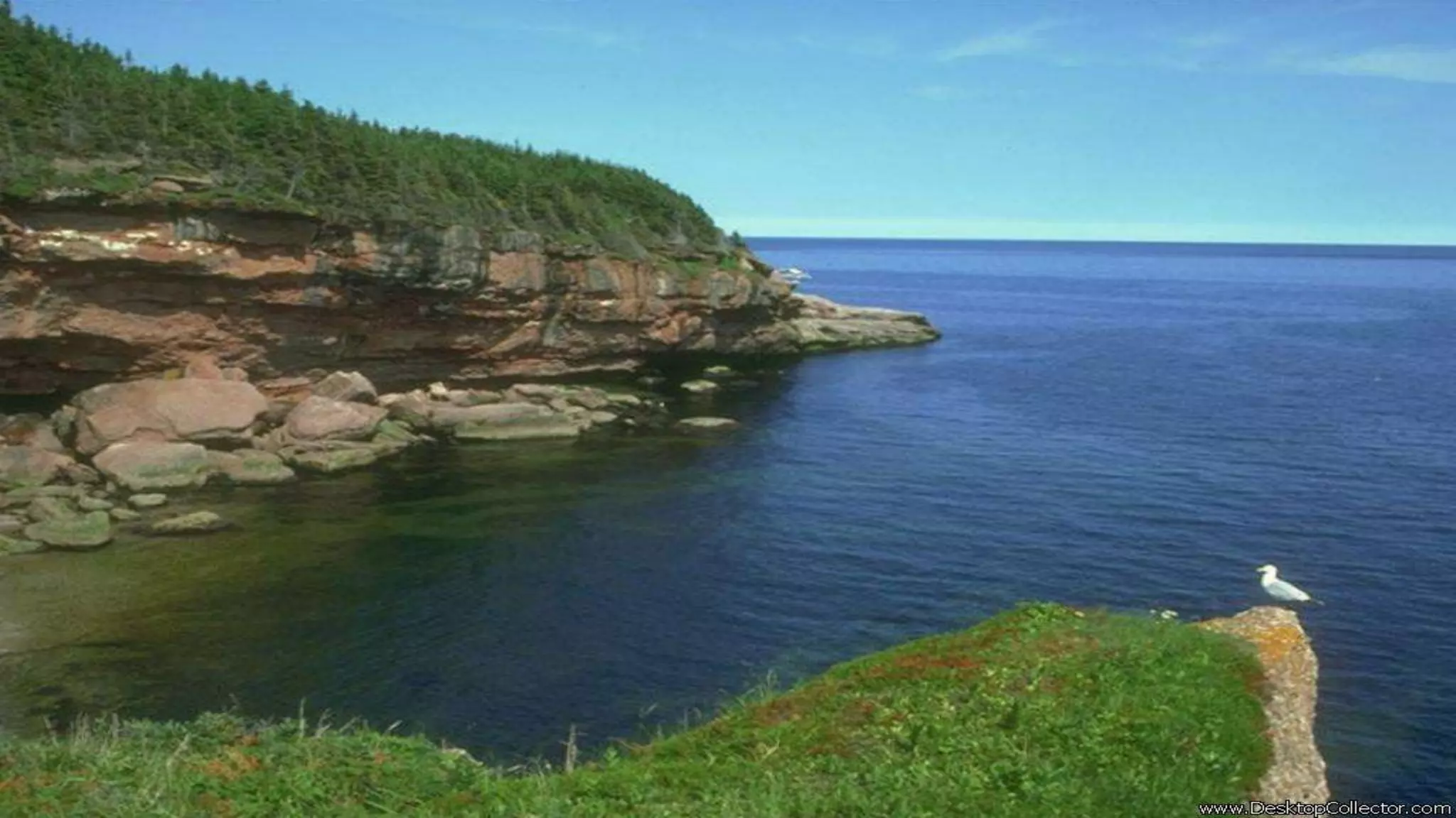 Природознавство