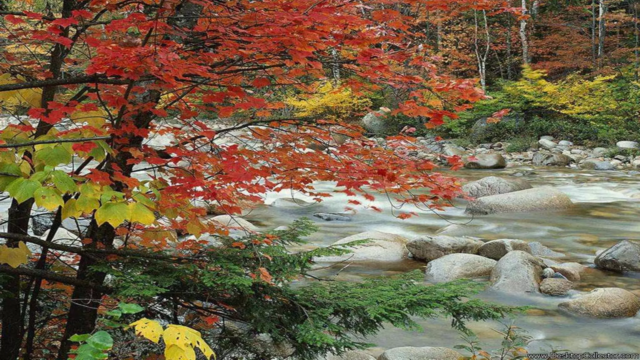 Природознавство