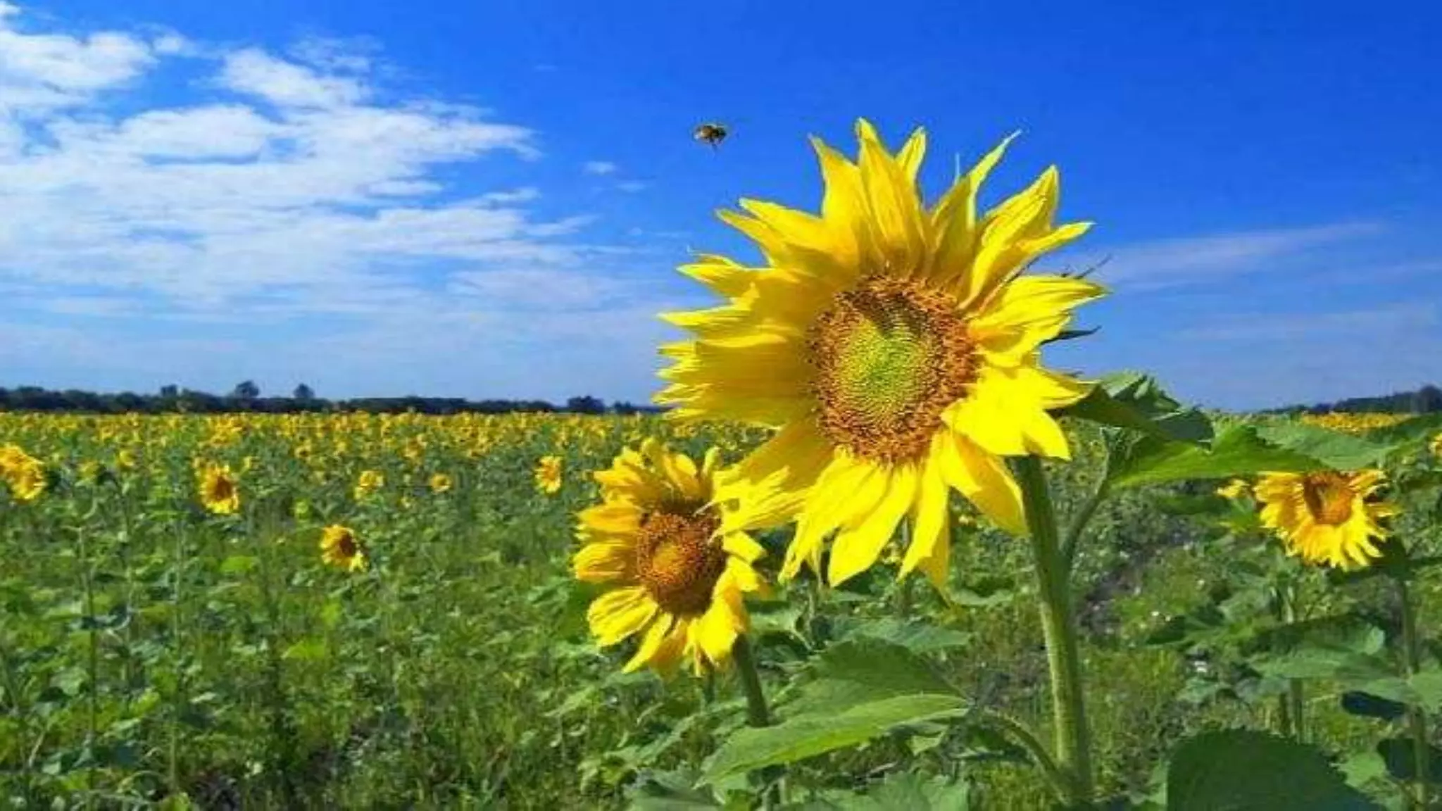 Природознавство