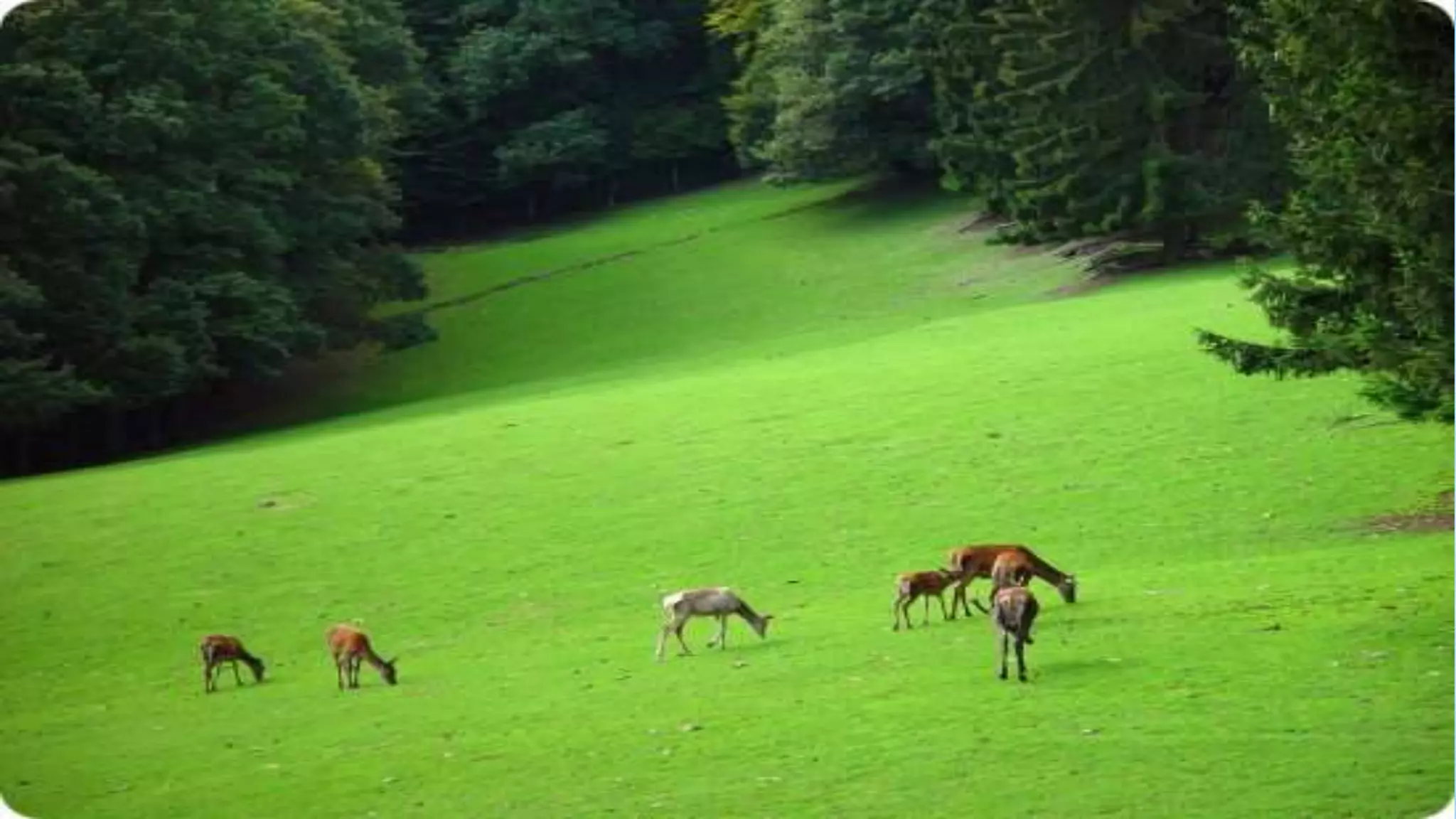 Природознавство