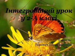 Інтегрований урок
    у 2-А класі


                    Вчитель:
       Попович Олена Іванівна
 