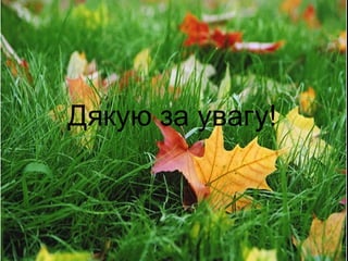 Дякую за увагу!
 
