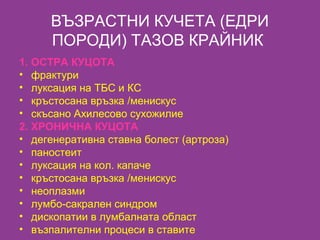 Алгоритми за диагностика на куцотата при кучето | PPT
