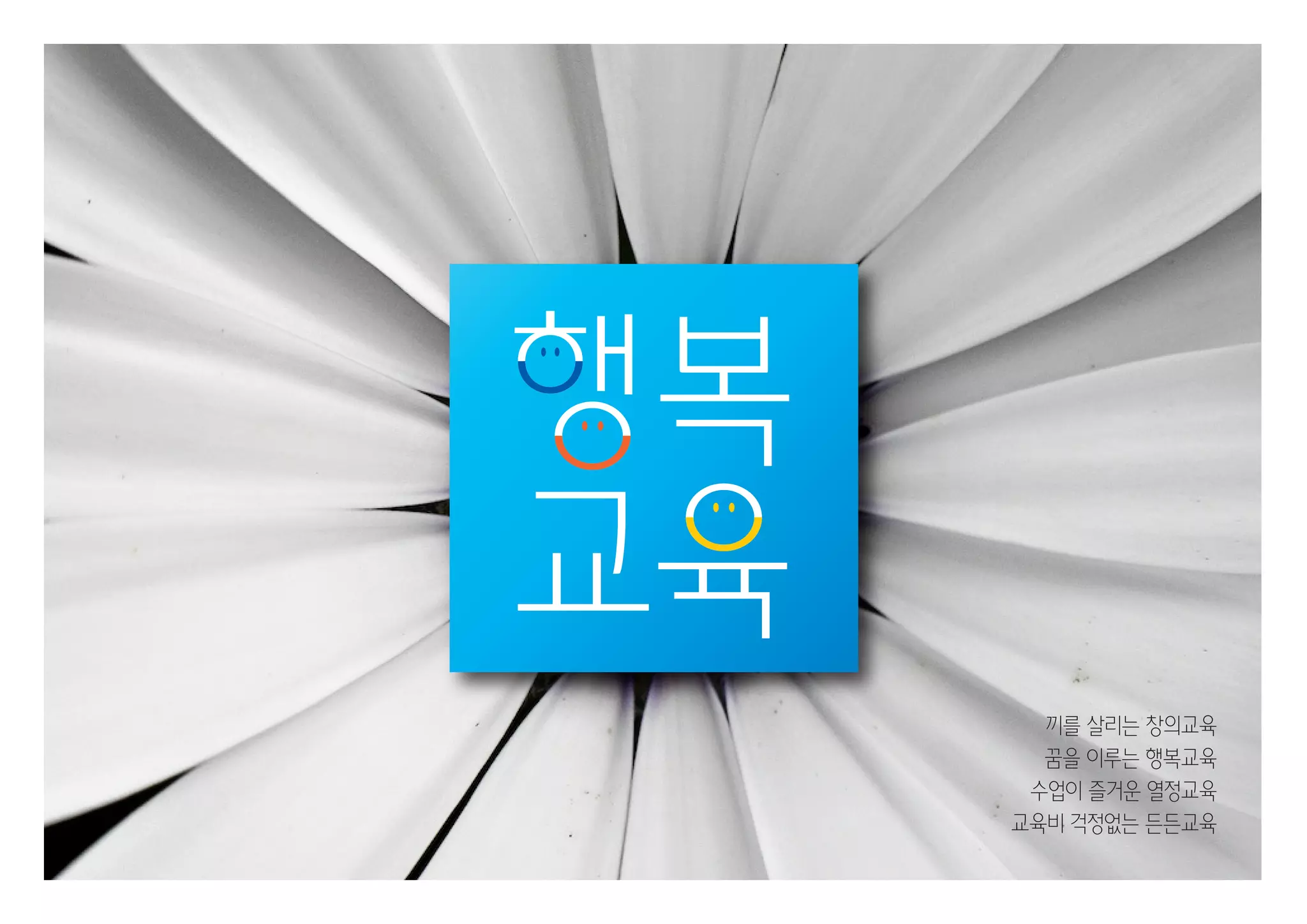 2013년 교육부 국정과제 실천계획  [인포그래픽]