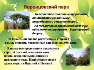 Воронцовский парк
                    Невероятное сочетание природного
                  ландшафта с созданными
                  насаждениями и архитектурой.
                   На территории парка находится еще
                  одна жемчужина Крыма - Воронцовский
                  дворец.
  На Солнечной поляне растет самый старый в
Крыму кипарис, посаженный еще в конце XVIII века.
  В парке все продумано и закреплено
строгой логикой классического
плана, живописными линиями
пейзажного сада. Прибрежное шоссе
делит парк на Верхний и Нижний.
 