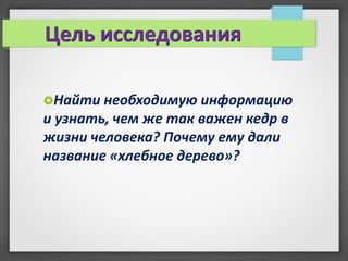 Цель исследования

Найти необходимую информацию
и узнать, чем же так важен кедр в
жизни человека? Почему ему дали
название «хлебное дерево»?
 