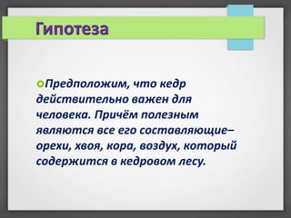 Гипотеза

Предположим, что кедр
действительно важен для
человека. Причём полезным
являются все его составляющие–
орехи, хвоя, кора, воздух, который
содержится в кедровом лесу.
 