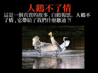 ˺ײ
@һ挍Ĺ , QQ
 , o҂ʲN ?!
 