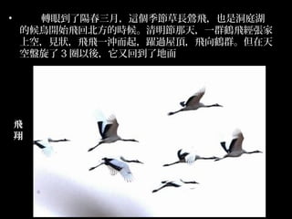 ?     D۵ꖴ£@LLwҲǶͥ
    ĺB_ʼwرĕr죬һȺQw
    ϿգҊwwһ_S^픣wQȺ
    ձP 3 Ȧᣬֻص˵




    w
    
 