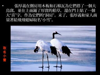 ?      xڂȷľʯߞһ
    BCK˺񌍵ĵݣ߀TNһ
    ϲ֣ġĩˣxͼ
    owwϱDȡСѩ




ȡ

С
ѩ
 