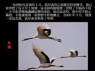 ÿBw 3 £x鿂؄eyܡ
TÿwwһQQTϦr
СѩLӰBrò
Zs׌wwһґّٲεxȥ 2000  3 £ww
һҷᣬxһ֏ˌo





w
 