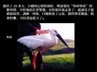 U 20 죬Q؄eãYlUU
 gͣĴpᡣЕrxˣ׌ӏ
 ½档ӖһᣬQ֏Ԫ⣬@hݣ
 񶶔\ ط{ˡ




 ֏
 