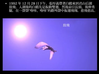 ? 1992  12  28 磬xQɽ
  wİQpᣬȻǰLi
  ȣһUUĚgw裬wߡ



                     w
 