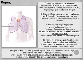 Ανατομία Θώρακα - Ακτινολογική Προσέγγιση