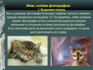 Итак, создаем фотографию:
                         1. Выделяем главное.
Как и художники, фотографы используют правила «золотого сечения»,
природа определила соотношение 1:2. Постарайтесь, чтобы основной
     элемент фотографии не был слишком большим или слишком
    маленьким по отношению ко всему пространству фотографии.
 Если смысловой центр не расположен строго посередине, то лучше
                   всего расположить его справа.
 